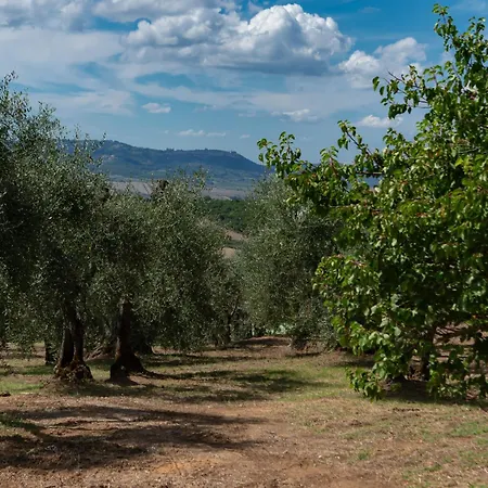 Il Miraggio In Val D'orcia Relais & 5*